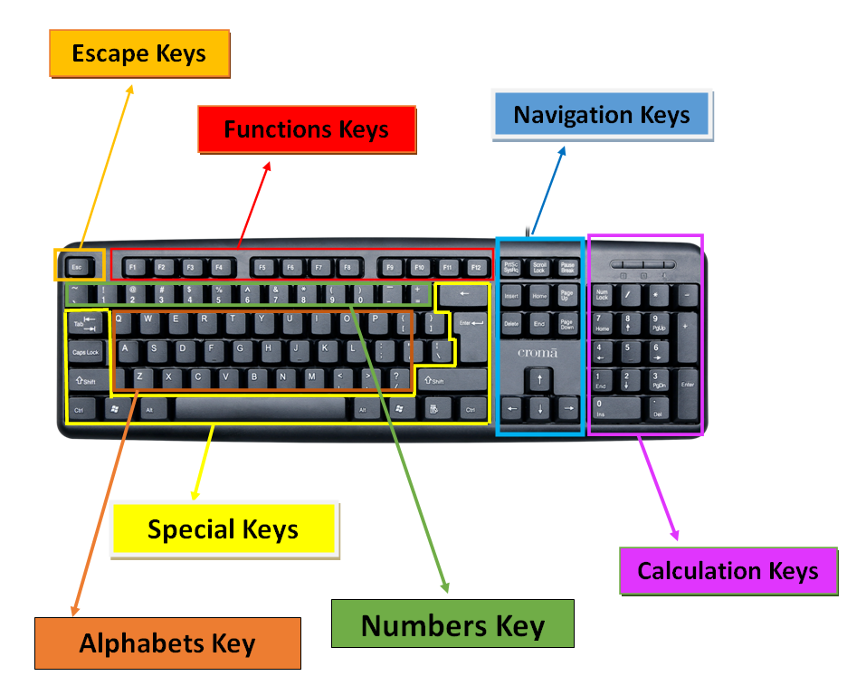 Structure of Keyboard Keys | Functions of keys in Keyboard - EDUITLEARNING