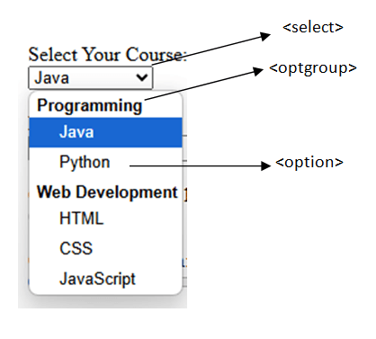 HTML Form Components EDUITLEARNING